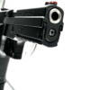 P226 LDC (2).png