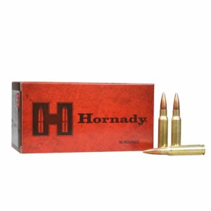 Hornady 380Win BTHP.jpg