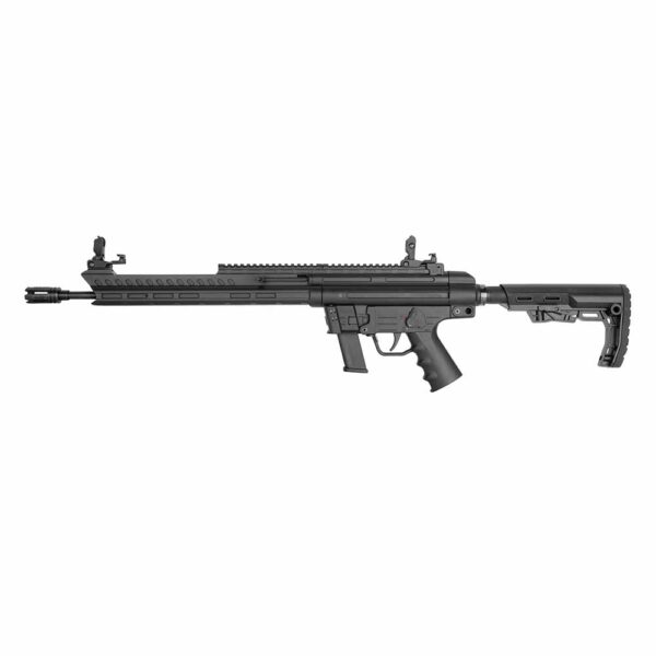 GSG-9 Sport 001.jpg