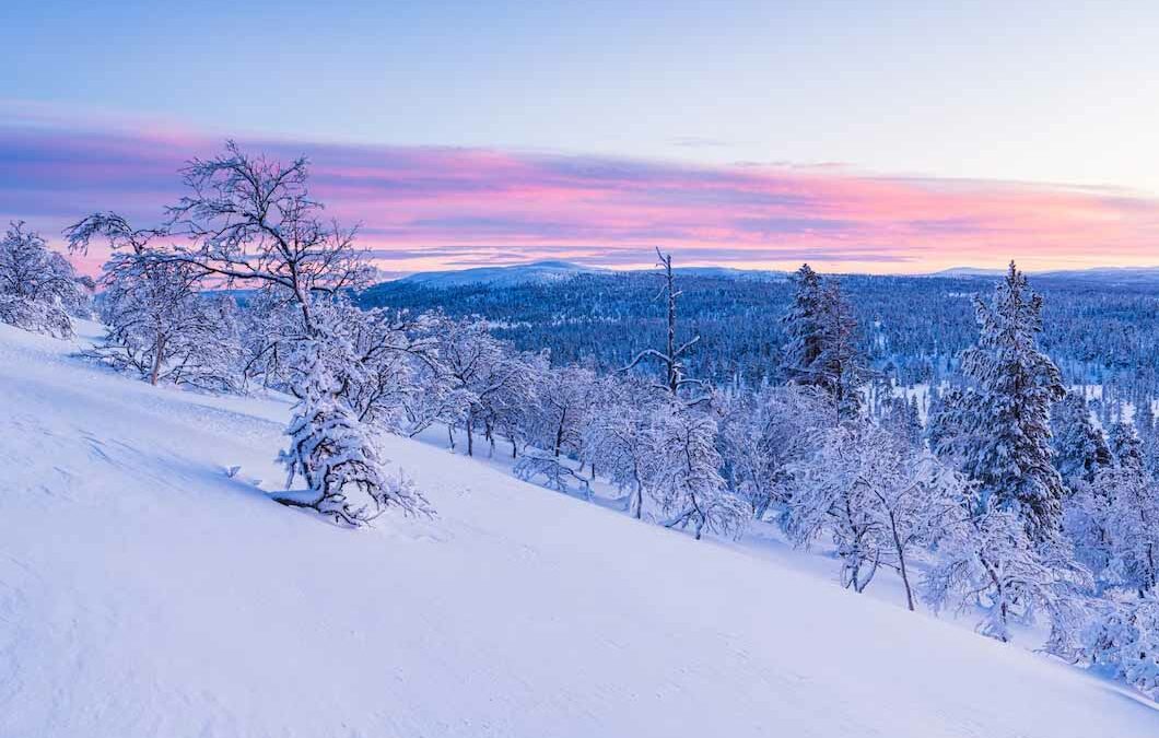 Die GSM hält Winterschlaf