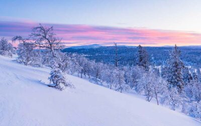 Die GSM hält Winterschlaf