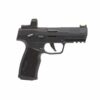 SIG SAUER P322 RXZE 002.jpg