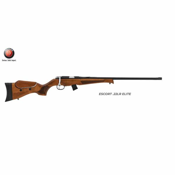 Hatsan Escort Wood Elite 22lr 001.jpg