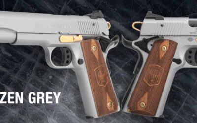 GSG 1911 FROZEN GREY